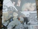 THE CHARLATANS RSD EVERYTHING CHANGED 2019 15 X 7’’ BOX SET SEALED MINT rare new