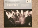 Mumford and Sons Vinyl Record 7