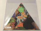 Modest Mouse- Poison The Well RSD 19 Triangular vinyl 45