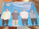 Weezer Blue Album MFSL 1-480 Colored Mobile Fidelity Sound Lab Mofi