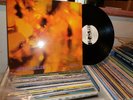 STEAMHAMMER REFLECTION AKARMA LP