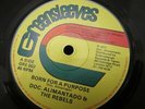 DR. ALIMANTADO & THE REBELS 