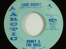 Honey & The Bees 