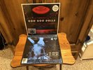 GOO GOO DOLLS - The Audience Is This Way - Vol 1 and 2 - Sealed (RSD) Vinyl LP