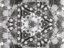Atomic Forest-Obsession (US IMPORT) Vinyl / 12