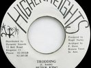 Peter King TRODDING Higher Heights DIGI ROOTS 45 Ex