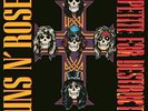 Guns N' Roses - Appetite For Destruction (30th Anniversary 2LP vinile) 2018 NEW