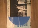 Sting Rare OZ Blue Vinyl LP Dream of the blue turtle NM ’85 A&M inner + Insert