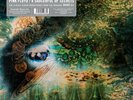 Pink Floyd ?– A Saucerful Of Secrets LP MONO RECORD STORE DAY RSD2019 NEW