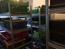 Record Shop Business Inventory Stock for Sale 35000+ Items