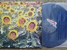 SUNNYBOYS INDIVIDUALS RARE ORIGINAL 1982 AUST MUSHROOM LABEL FIRST ALBUM LOBBY