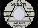 Garage Fuzz 45 - Basement Wall - Never Existed - Senate - mp3