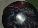 Disgorge- She Lay Gutted- Picture Vinyl LP- 1999- Original- NL