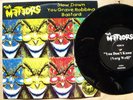 tHE mETEORS 