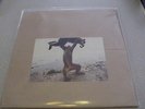 SHELLAC -  Dude Incredible - 180g LP Vinyl & CD /// New /// Steve Albini