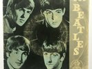 LOS BEATLES - En Cambio Llorare - SUPER RARE COSTA RICA PICTURE SLEEVE EP