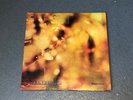 STEAMHAMMER REFLECTION GATEFOLD ALBUM ON CBS S 63611 1968 FIRST PRESS VG /VG