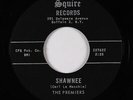 Rock & Roll Inst. 45 - Premiers - Shawnee/Orbit Bound - Squire - mp3 - rare