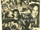 BLIND MELON - TONES OF HOME EP 1993 PRESS ROCK ALT GRUNGE ROCK ALICE IN CHAINS