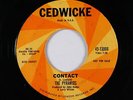 Surf Inst. 45 - Pyramids - Contact/Pressure - Cedwicke - mp3