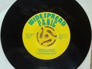 WIDESPREAD PANIC COCONUT IMAGE/Monkey Image vinyl  45 Rare 1986 NM SIGNED
