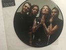 THE WILDHEARTS - VANILLA RADIO * 7 INCH PIC DISC VINYL * FREE P&P UK * SMALP048