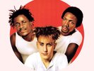 The Fun Boy Three ‎– The Fun Boy Three (Vinyl, LP, Album)
