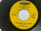 Ice - Cold- Love 45 