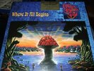THE ALLMAN BROTHERS BAND : WHERE IT ALL BEGINS AUDIOPHILE 2LP 2015 SONY EU