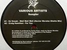 Various - Various Artists Sampler 12