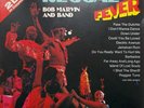 Bob Marvin And Band - Reggae Fever (2xLP, Gat) Vinyl Schallplatte 149831