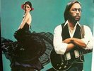 Al Di Meola Elegant Gypsy LP Album RE Vinyl Schallplatte 120891