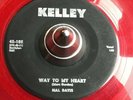 HAL DAVIS AND THE STARLETS: WAY TO MY HEART 45 RARE DOO - WOP  STRONG  ??