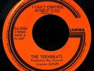 THE TEENBEATS-I Can't Control Myself-Rare Garage Punk Freakbeat 45-GAMMA #GA5054