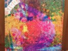 $100 Fine-Litter-Rare LP- VG- Sleeve VG record-S8-9203