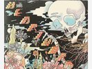 The Shins Heartworms Newbury Clear with Black Marbled LP Vinyl Ltd 1500