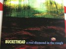 bUcKeTHeAd A Real Diamond In The Rough LP Vinyl Record