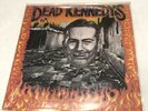 Dead Kennedys Album 1987 Vinyl  “Give Me Convenience or Give Me Death” Original
