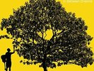 Johnson Jack - In Between Dreams [VINYL]
