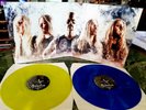 Sabaton - the Last Stand - neu - Vinyl