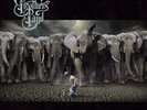 The Allman Brothers Band ?- Hittin' The Note 2 x LP Vinyl Album NEW Record