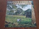 DAYLIGHT - same  vinile  I° STAMPA IT SU RCA