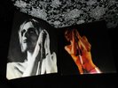 ORGASMIC  IGGY & THE STOOGES   RAW POWER '73 RAW & WILDLY CRUDE DOCUMENT ON FIRE