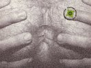Type o Negative ?– the Origin of the Feces Vinyl 1992 - Ro 9174 1 - M/M
