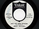 GARAGE-DENNY PROVISOR-SHE'S NOT MINE ANYMORE/IT REALLY TEARS ME UP-VALIANT 728