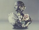 URBAN FLORA (CLEAR VINYL)