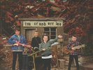 CRANBERRIES, The - In The End - Vinyl (gatefold LP)