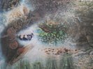 Pink Floyd A Saucerful Of Secrets EMI Harvest 2C 064-04 190 (Near Mint) 12