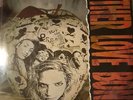 Mother Love Bone Apple holland press 1990 issue Polydor 843 191-1
