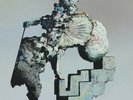 THE CARETAKER 